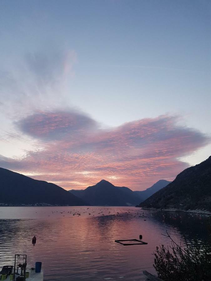 Apartman Posejdon Kotor Exterior foto